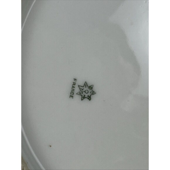 Antique Elite Works Limoges France Pink Green Floral Serving Plate Golden Hdls - Picture 7 of 15